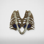 Thug Club TC Bone Half Mask in white, view 3 of 3